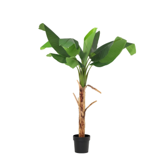Artificial Musa Banana Plant 80–190 cm