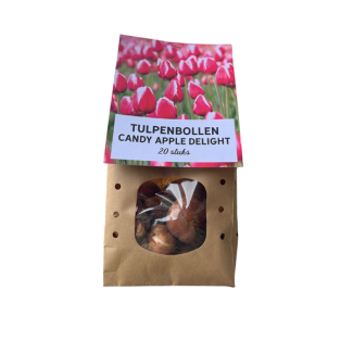 The Dutch Gift: 20 Tulip Bulbs Candy Apple Delight, flower bulbs