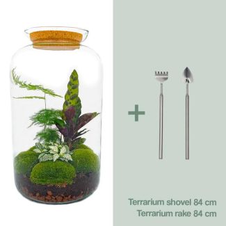 DIY Plant Terrarium - Botanical XL Pot - 43 x 23 cm - With Plants and Accessories Including Rake and Shovel