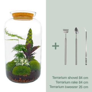 DIY Terrarium: Bring a Self-Sustaining Biotope into Your Home with Rake, Shovel, and Tweezers