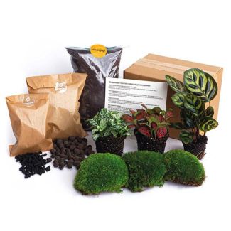 Starter Kit & Refill