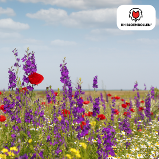 Wildflower Seed Mix – 100g | Bee & Butterfly Friendly | ± 30–50 m² Bloom