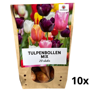 200 pieces Tulip mix – 20 Bulbs in 10 Bags – Colorful Spring Bloom