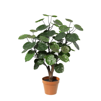 Artificial Polyscias Fabian 55 cm