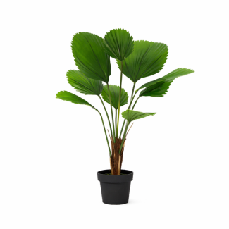 Artificial Licuala Grandis 104 cm