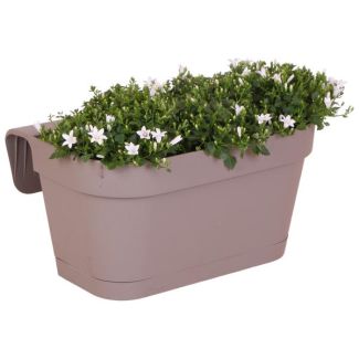 Taupe balcony box with 3 pieces of campanula, Color White, garden plant, Balcony plants, Filled plant box, Campanula Addenda Ambella white