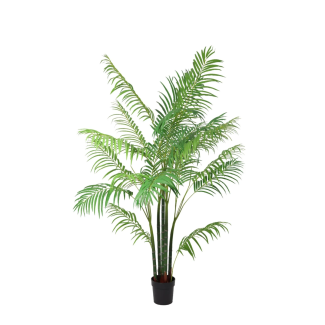 Artificial Areca Palm 122 to 190 cm