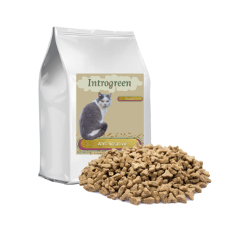Premium Cat Anti-Struvite – Complete Diet Food for Struvite Stones 2 - 10 Kg