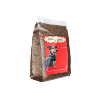 Dog Food Adult Plus – Complete & Balanced Nutrition for Adult Dogs!