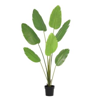 Artificial Strelitzia Nicolai 135–180 cm