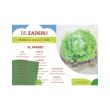 XL Pakket Biologisch Zaad – 10 Soorten Groentezaden