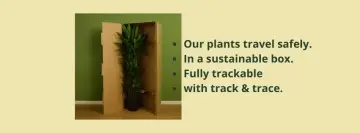 Hoe verzenden wij planten
